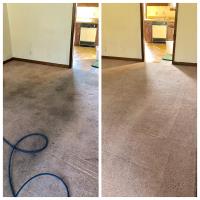 Veteran Carpet Cleaning Service image 4